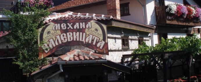Pensiunea VALEVICATA INN 3* - Bansko, Bulgaria. - Photo 8