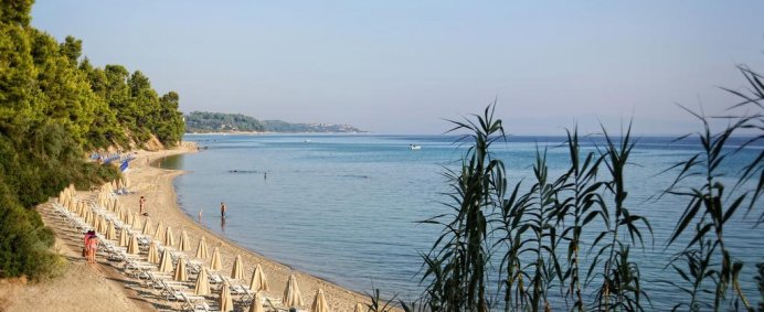 Hotel KRIOPIGI 4* - Halkidiki Kassandra, Grecia. - Photo 2