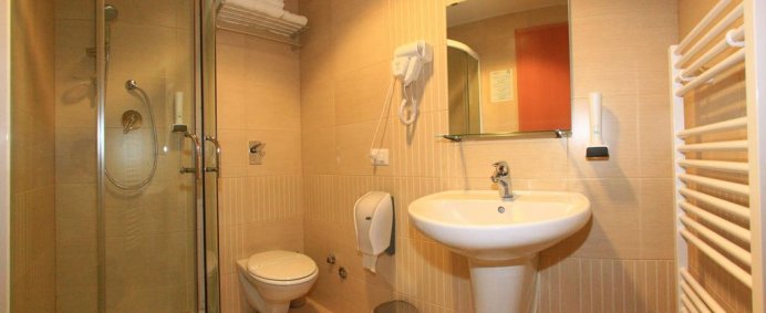 Hotel ROMAN 3* - Borsa, Romania. - Photo 8