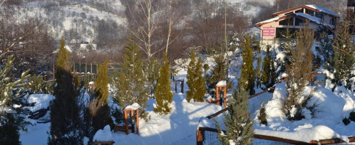 Hotel CLUB VILA BRAN 3* - Bran, Romania. - Photo 13