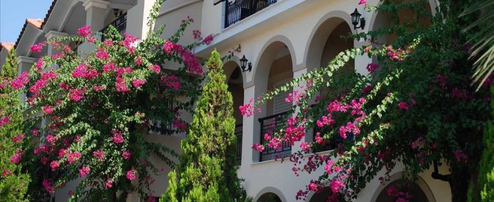 Hotel LETSOS 3* - Zakynthos, Grecia. - Photo 11
