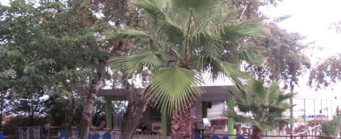 Hotel SUN BEACH 3* PLUS - Pieria (Riviera Olimpului), Grecia. - Photo 16