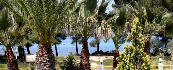 Hotel REMA 3* - Halkidiki Sithonia, Grecia. - Photo 2