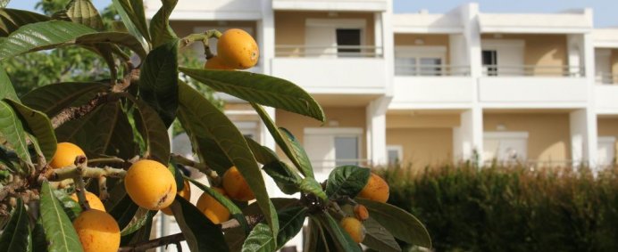 Hotel SKION PALACE BEACH 4* - Halkidiki Kassandra, Grecia. - Photo 6