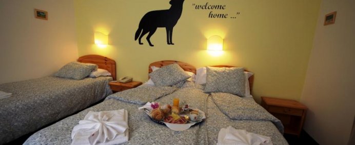 255 EURO/ pers., 7 nopti, cu DEMIPENSIUNE la Hotel SAISERA 3* - Valbruna, Italia. - Photo 18