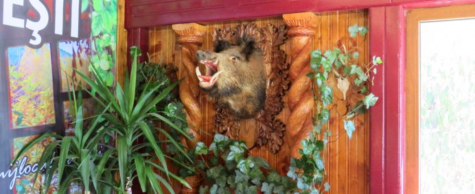 Circuit culinar in zona Muscelului - 1 zi. - Photo 2