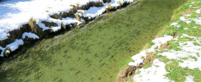 Circuit culinar in zona Muscelului - 1 zi. - Photo 6