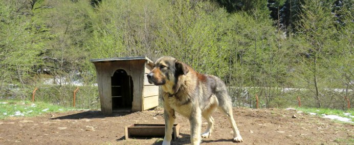 Circuit culinar in zona Muscelului - 1 zi. - Photo 8