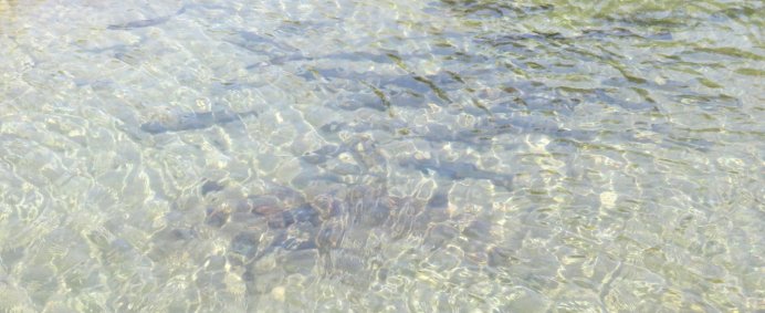 Circuit culinar in zona Muscelului - 1 zi. - Photo 10