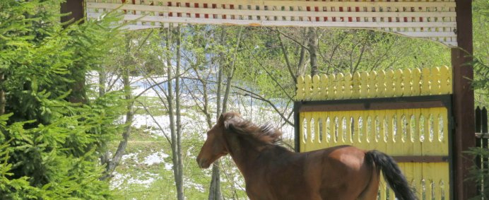 Circuit culinar in zona Muscelului - 1 zi. - Photo 12