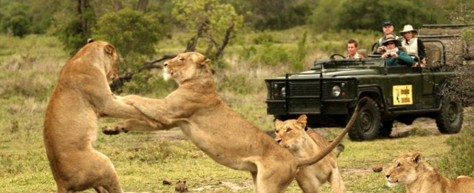 Circuit si Safari in Africa de Sud. 1799 EURO/ pers./ 10 nopti. - Photo 1